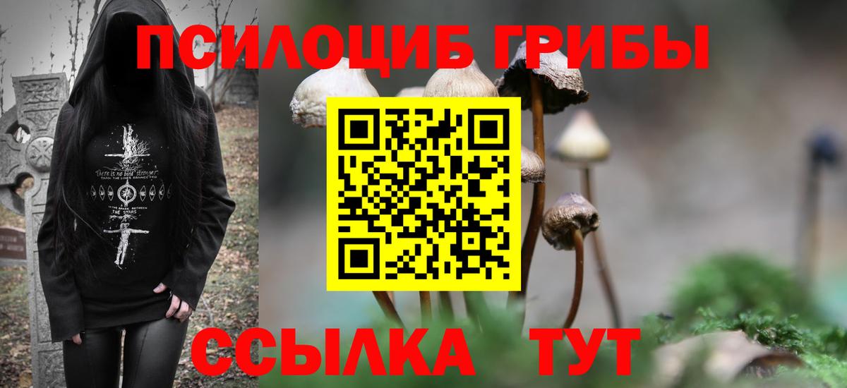 Галлюциногенные грибы GOLDEN TEACHER Нижний Тагил